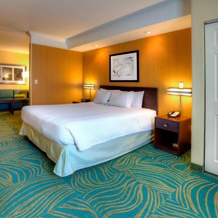 Springhill Suites By Marriott - Tampa Brandon Bagian luar foto